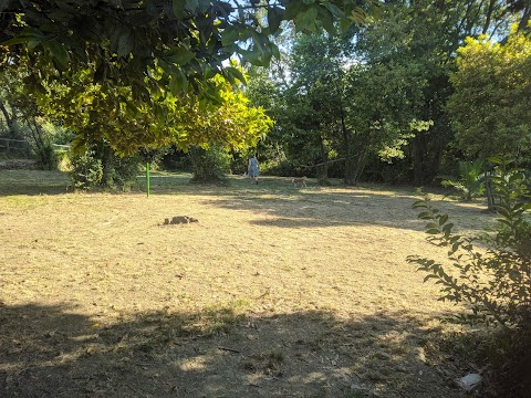 Parco per cani