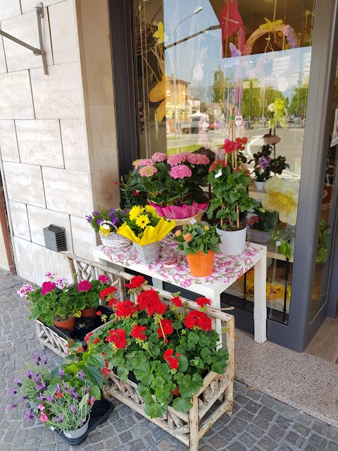 Il Fiore Di Malaguti Claudia