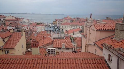 Gimnazija, elektro in pomorska šola Piran