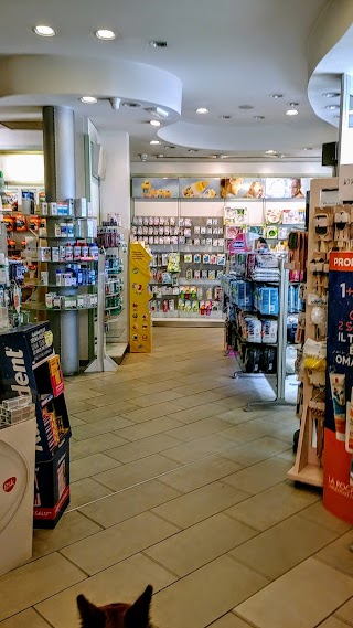 Farmacia Del Galluzzo Del Dott. Enrico Ara