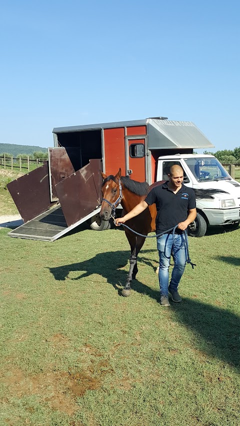 Ciampoli Dr. Raffaello Clinica Veterinaria Il Ceppo Equine Hospital