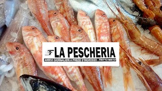 Ittico Piemonte pescheria Collegno - ingrosso e dettaglio