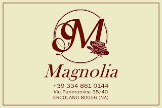 Magnolia