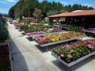 Verdeflora Garden Center - Vivaio