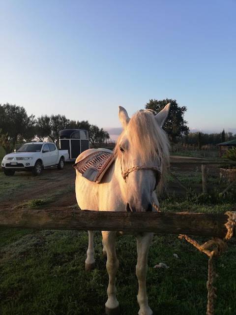 Fattoria Delle Due Rose Circolo Equestre