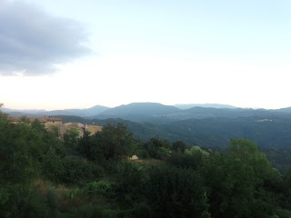 Bar del Poggio