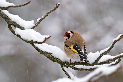 Pianeta Natura