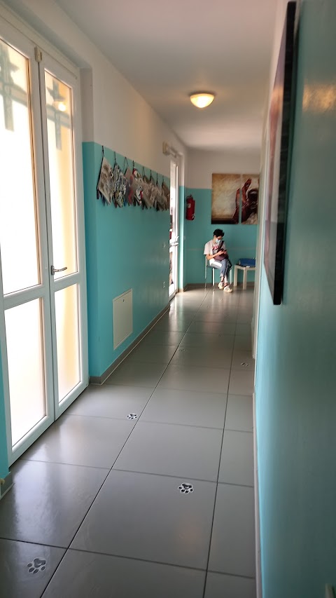 Clinica Veterinaria Madonna del Bosco