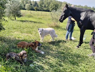 Le Terre della Felicità