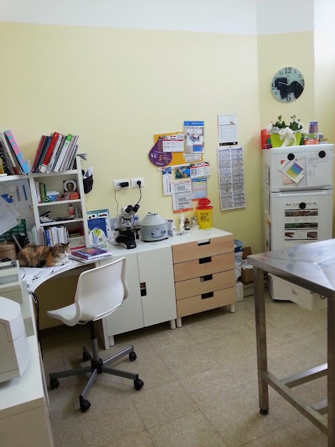 Ambulatorio Veterinario Del Guasta