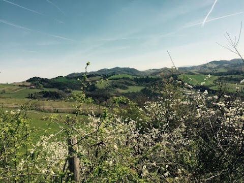 Agriturismo La Palazzina di Ciagnano