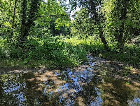 Parco Naturale delle Lame del Sesia