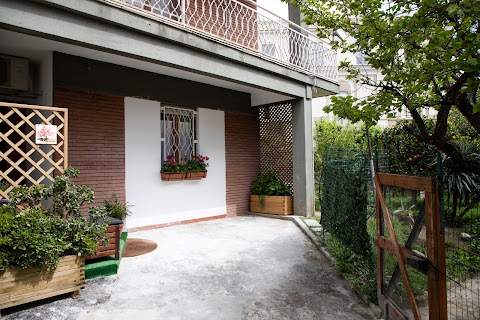 B&B L' ALbero di giada