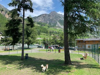 Doggy park