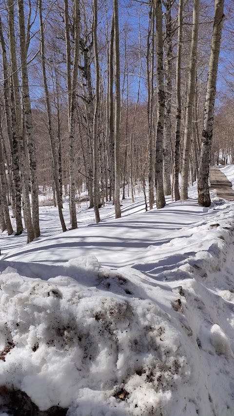 Fagus Park Leonessa