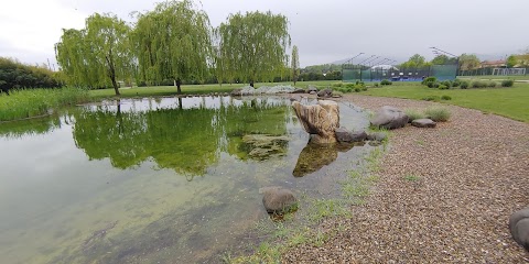 Pistoia Nursery Campus