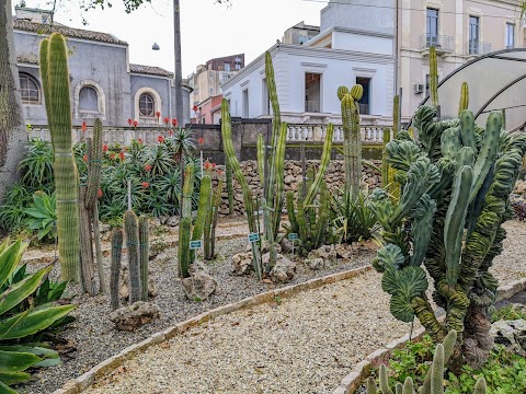 Orto Botanico di Catania