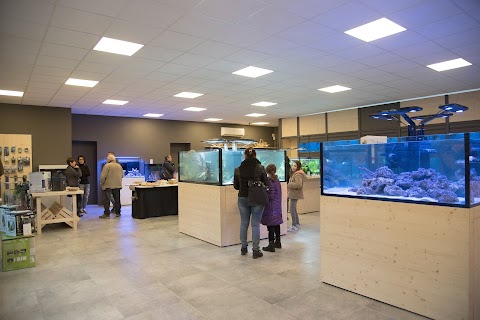 Aquariumstyle Centro acquari Piacenza