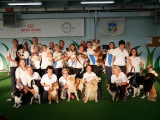 Centro cinofilo indoor Paladog TouchDown Dogs A.S.D.