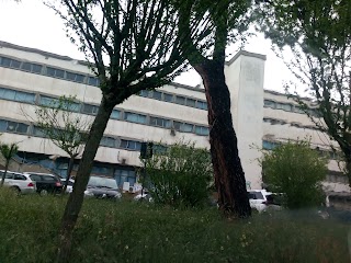 Ospedale Fabrizio Spaziani