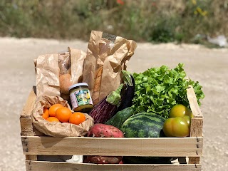 Azienda Agricola Biologica Orto di Fabiana