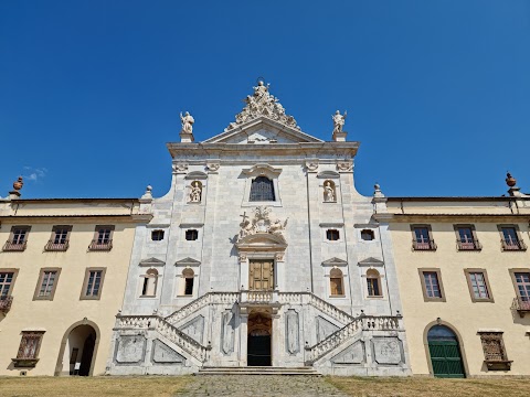 Museo di Storia Naturale dell'Università di Pisa