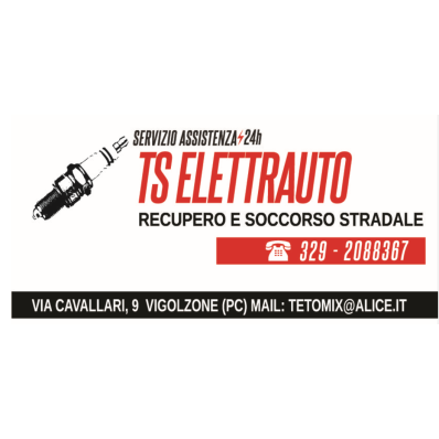 Ts Elettrauto