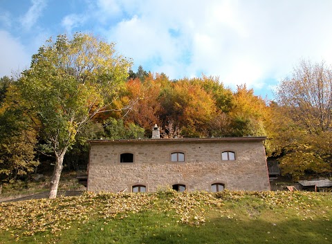 Agriturismo del Cimone La Palazza