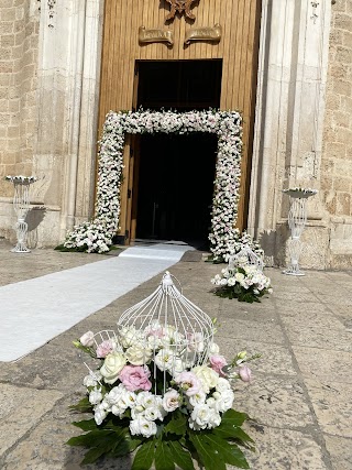 Fiorista Petali Di Rose Francavilla Fontana Agenzia Funebre