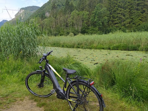 Ledro Bike Rentals