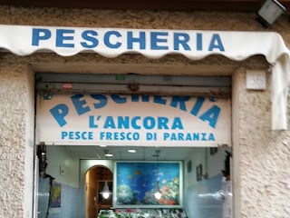 Pescheria L'ancora di Cialfi Irene via Luigi Mancinelli 36