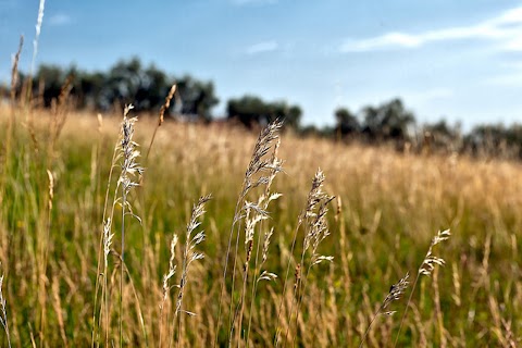 Agriturismo Il Pianetto