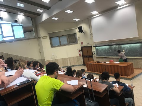 Università degli Studi di Roma La Sapienza - Facoltà di Economia