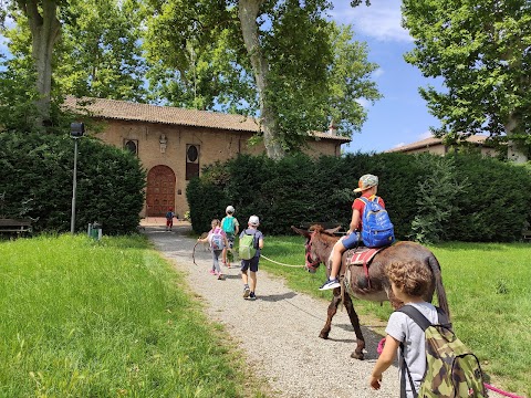 Fattoria di animazione ambientale L'Asino dell'Ariosto