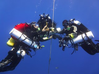 ElySub Academy - Corsi sub, Immersioni e Corsi di 1° Soccorso