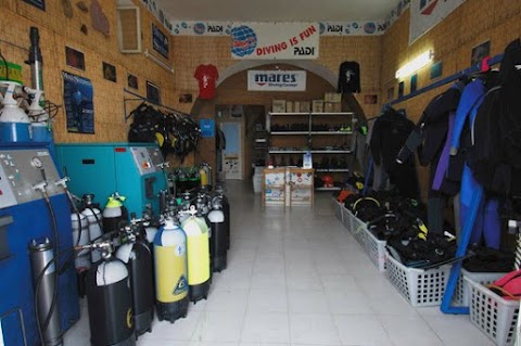 Lipari Diving Center La Gorgonia