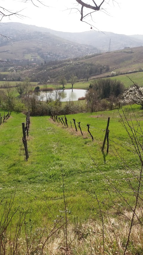 Foto di CONAD CITY - Via Marzabotto 25/27, Rastignano (BO), Italia