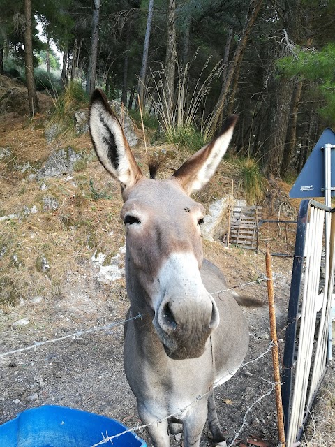 Agriturismo Il Gattopardo