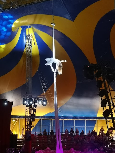 GRAVITY CIRCUS