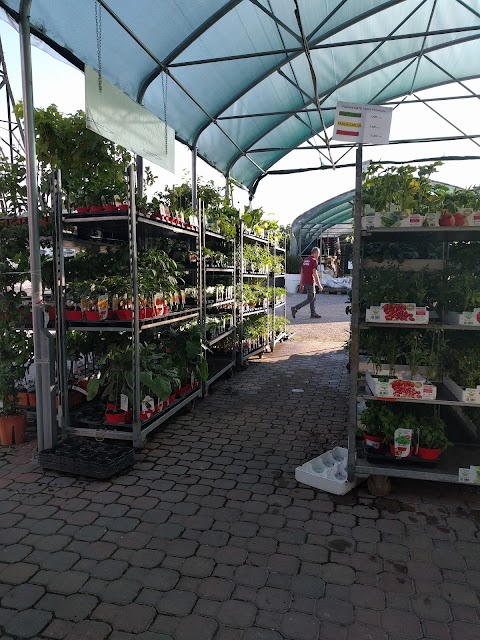 Sebino Garden Center