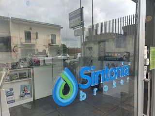 Sintonia Agency Nocera Inferiore