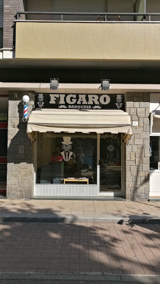 Figaro Barberia