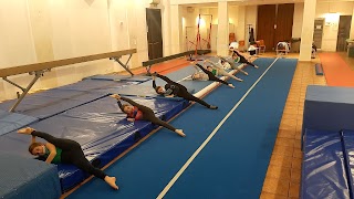 Asd Niche ginnastica artistica