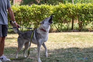 Live your Dog - Centro Cinotecnico