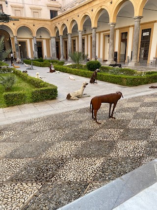 Università degli studi di Palermo Fac. scienze della formazione