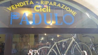 CICLI di Padulo Tiziano Ciclista Biciclette Moutain Bike Bici