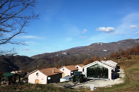 Ferrari Farm Società Agricola S.r.l.