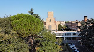 Università Pontificia Salesiana