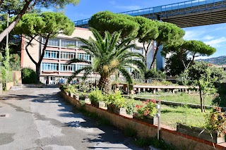 Centro Franco Chiarella - Villaggio Del Ragazzo