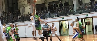 Pallacanestro Dinamo Ladispoli